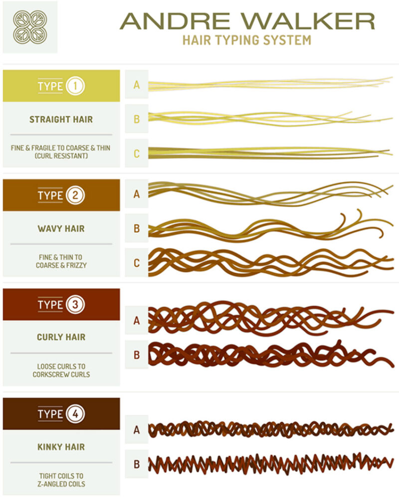 Andre Walker Hair Typing System