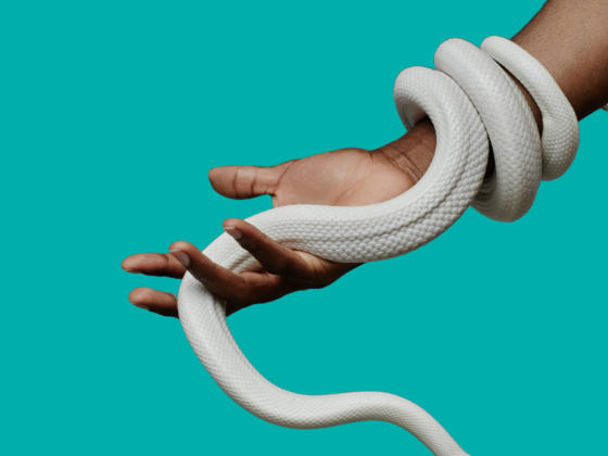 Snake in a Black Woman's Hand